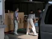 こしょう(唐辛子)の苗