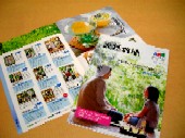 こしょう(唐辛子)の苗