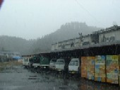 樹氷