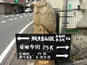 職場体験