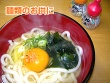 �䂸�����E���h�q